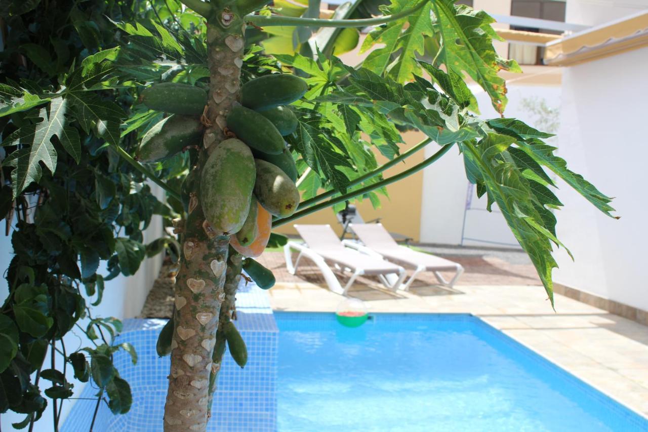 Holiday home Casa El Olivo, Tenerife Valle de San Lorenzo