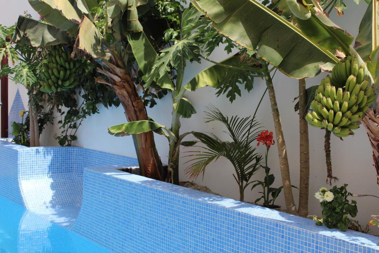 Casa El Olivo, Tenerife Holiday home Valle de San Lorenzo